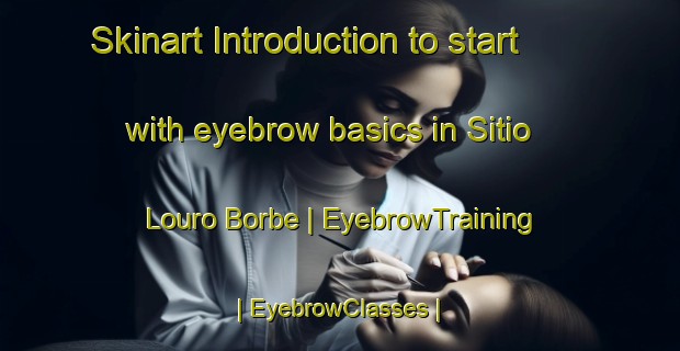 Skinart Introduction to start with eyebrow basics in Sitio Louro Borbe | EyebrowTraining | EyebrowClasses | SkinartTraining-Brazil